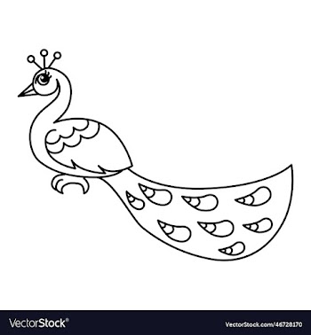 peacock cartoon coloring page for kids