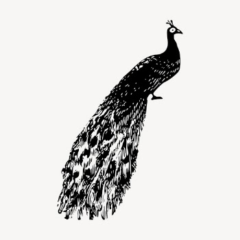 Peacock clipart, vintage animal illustration | Free Vector - rawpixel