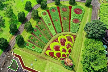Peacock Designed Garden
