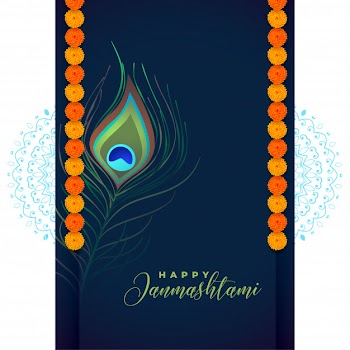 Peacock feather for shree krishna janmashtami festival Free Vector