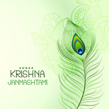 Peacock feather  for shree krishna janmashtami Free Vector