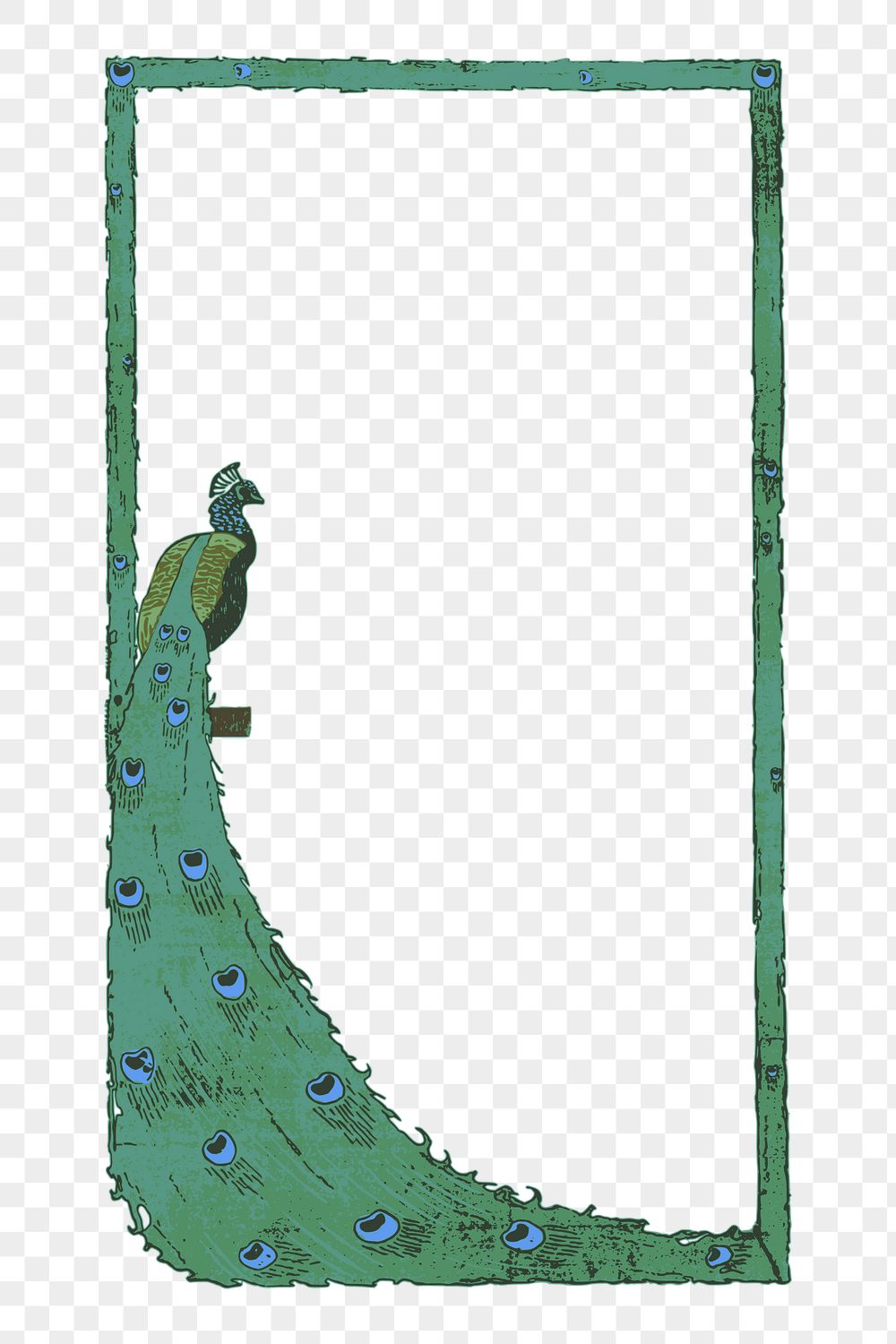 Peacock frame png sticker, animal | Free PNG - rawpixel