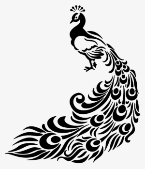 Peacock PNG Images | PNG Cliparts Free Download on SeekPNG