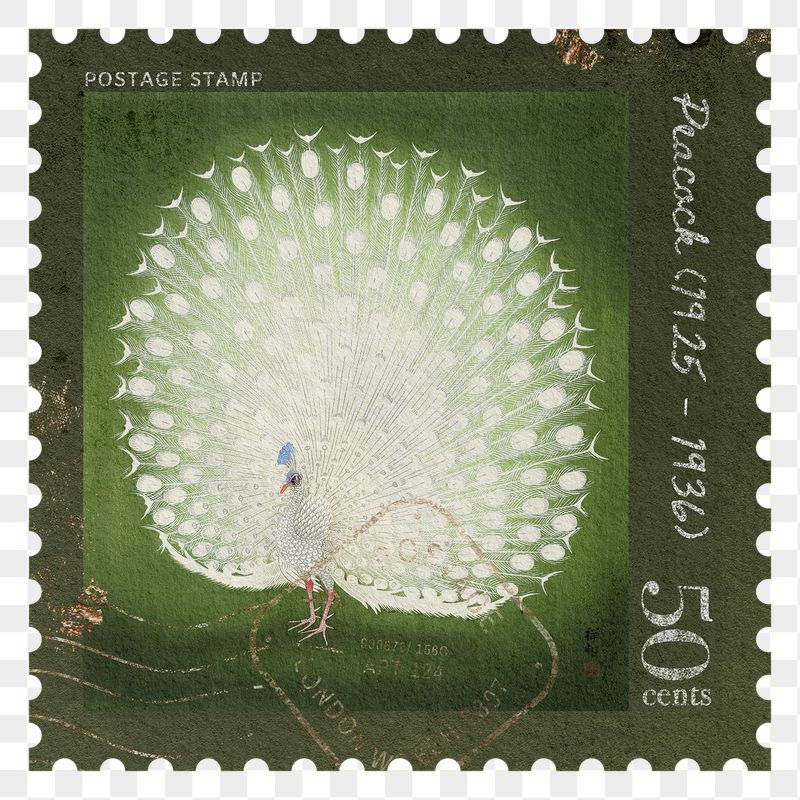 Peacock png post stamp sticker, | Free PNG - rawpixel
