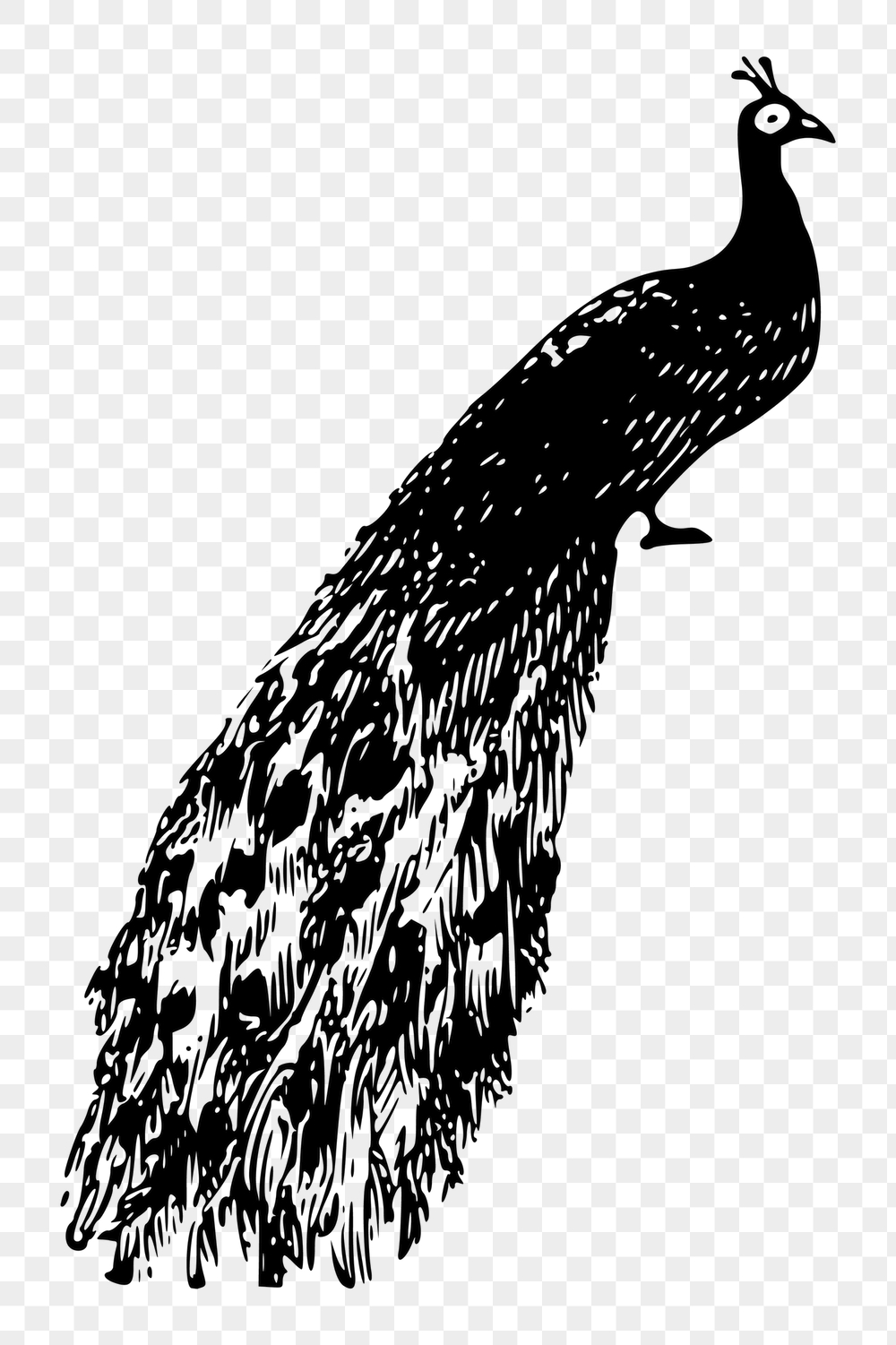 Peacock png sticker, vintage animal | Free PNG - rawpixel