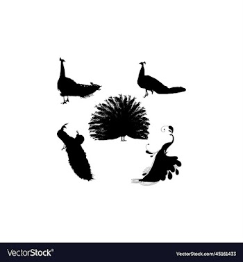 peacock set silhouette icon logo