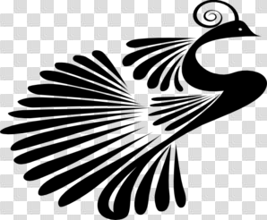 Peacock sketch clipart - Clipartix