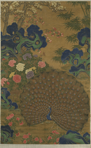 peacock with tailfeathers extended; blue | Free Photo - rawpixel