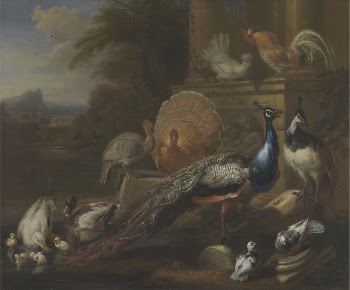 Peacocks, Doves, Turkeys, Chickens and | Free Photo - rawpixel