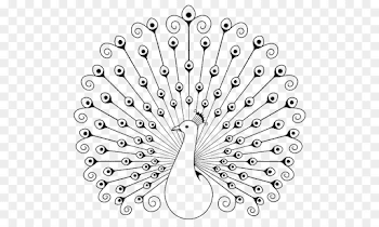 Peafowl Drawing Coloring book Clip art - Stick figure Peacock png ...