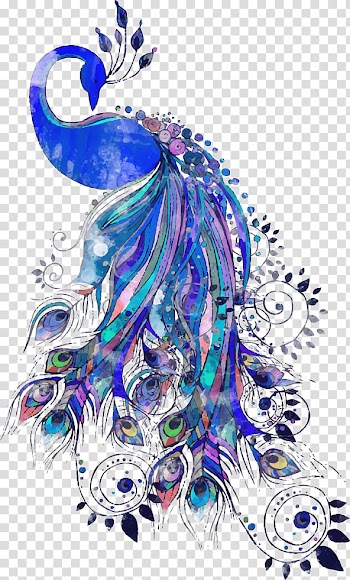 Peafowl Drawing Feather Illustration, blue peacock, blue, pink, and green peacock illustration transparent background PNG clipart