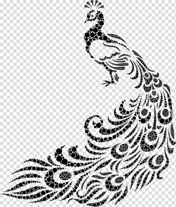 Peafowl Line art Drawing , peacok transparent background PNG clipart