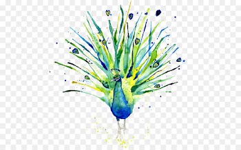 Peafowl Logo of NBC Watercolor painting - Watercolor Peacock 