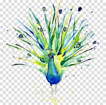 Peafowl Logo of NBC Watercolor painting, Watercolor Peacock transparent background PNG clipart