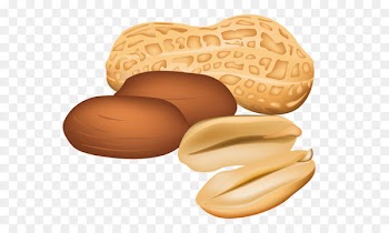 Peanut butter and jelly sandwich Clip art - Peanuts PNG Clipart Picture 
