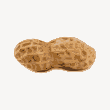 Peanut clipart illustration psd. Free | Free PSD - rawpixel
