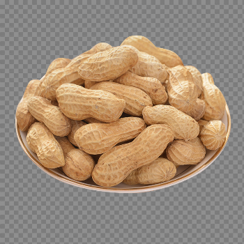 Peanut PNG images free download