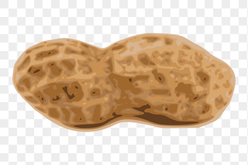 Peanut png sticker illustration, transparent | Free PNG - rawpixel
