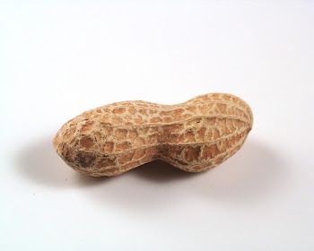peanut0003.jpg