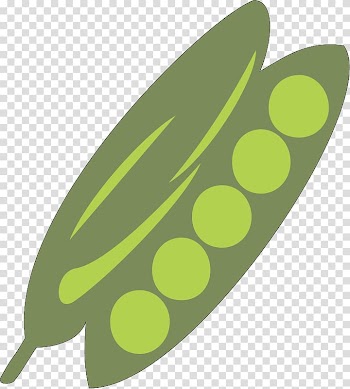 Peapod , vegetables transparent background PNG clipart