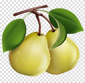 Pear Berry Fruit , pear transparent background PNG clipart