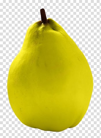 Pear Cucurbita Fruit Winter squash Muskmelon, pear transparent background PNG clipart