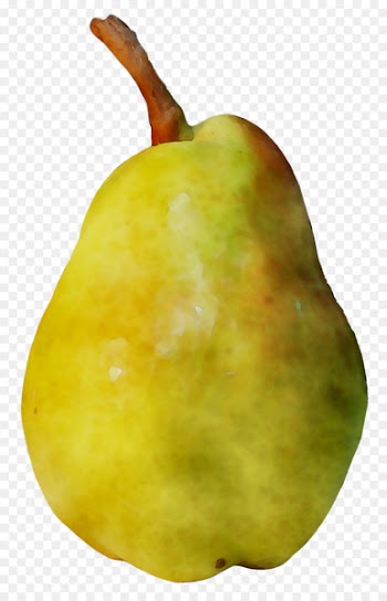 Pear Fahrenheit -  