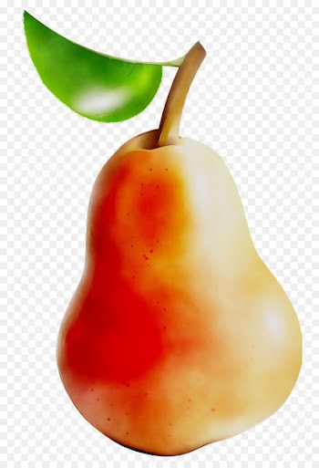Pear Food Peppers Still life photography Accessory fruit -  