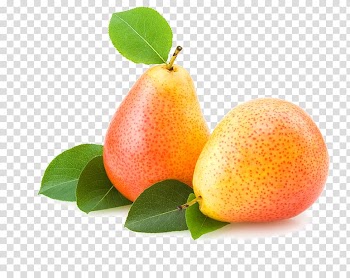Pear Fruit Icon, Pear fruit transparent background PNG clipart