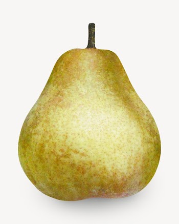 Pear fruit isolated design | Free Photo - rawpixel