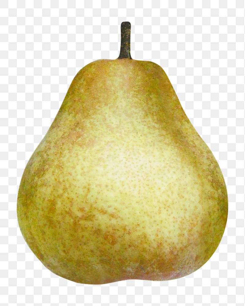 Pear fruit png sticker, transparent | Free PNG - rawpixel