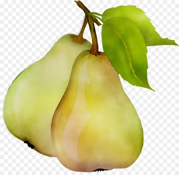 Pear Natural foods Still life photography -  