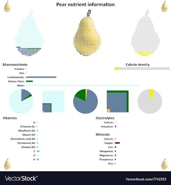 Pear nutrient information vector image