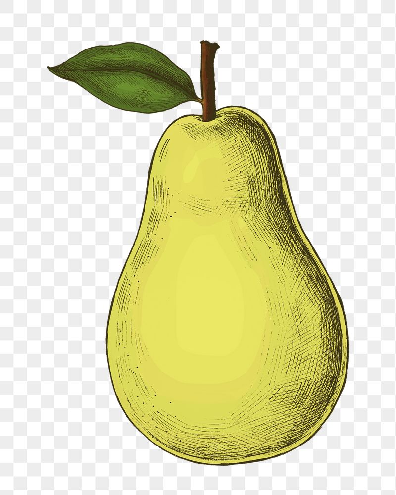 Pear png illustration sticker, fruit | Free PNG - rawpixel