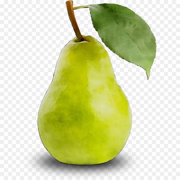 Pear Still life photography Apple Fahrenheit -  