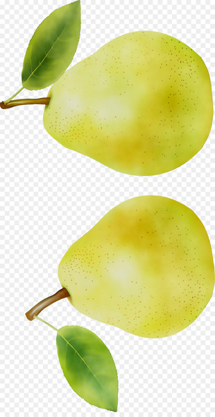 Pear Still life photography Fahrenheit -  