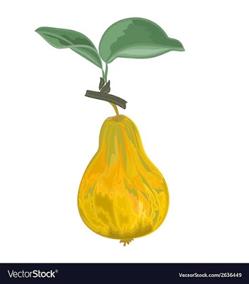 Pear yellow-green and sheet vector image