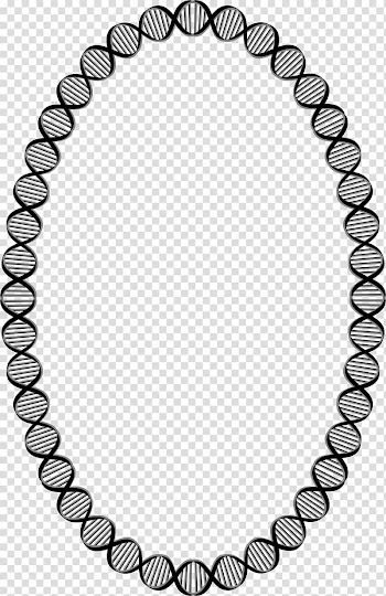 Pearl necklace Pearl necklace Tahitian pearl Bracelet, circle frame transparent background PNG clipart