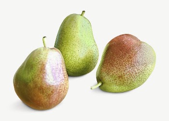 Pears fruit collage element psd | Free PSD - rawpixel