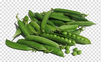 Peas illustration, Organic food Snow pea Snap pea Vegetable, Green beans and peas transparent background PNG clipart
