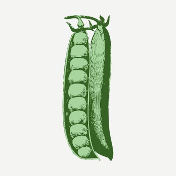 Peas vintage clipart, vegetable illustration | Free PSD - rawpixel