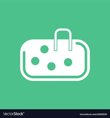 Pebble bag vector image