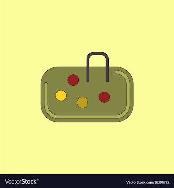 Pebble bag vector image