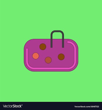 Pebble bag vector image
