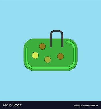 Pebble bag vector image