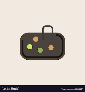 Pebble bag vector image