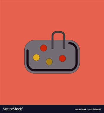 Pebble bag vector image