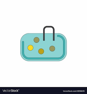 Pebble bag vector image