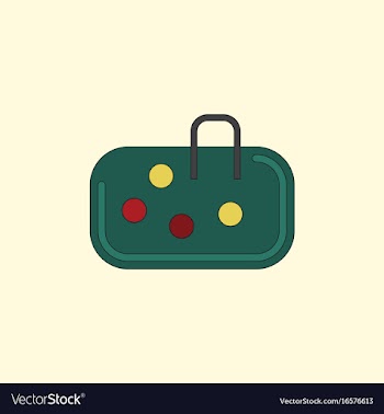 Pebble bag vector image
