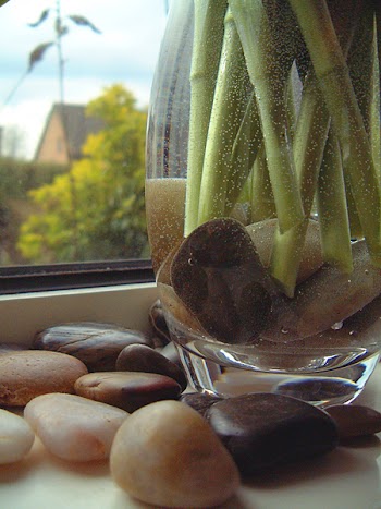 Pebbles_and_glass_vase_2.jpg